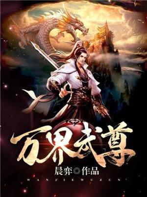 万界武尊林峰叶枫 万界武尊林峰叶枫
