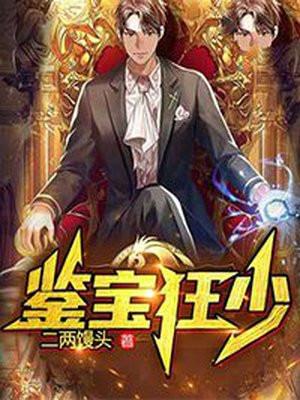 鉴宝狂少短剧免费播放