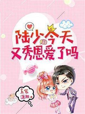 陆少今天离婚不