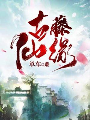 古藤仙缘txt全集精校版百度