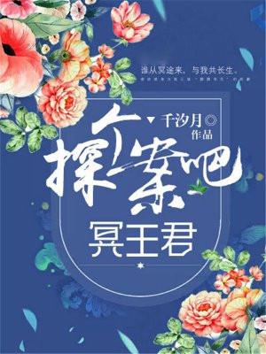 探案是什么意思?