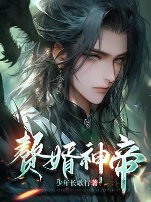 赘婿神尊