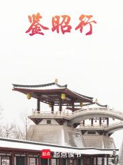鉴昭行完整版