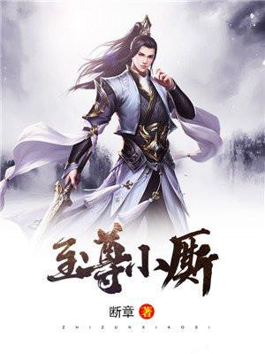 至尊小厮评价