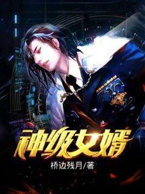 神级女婿在都市免费阅读