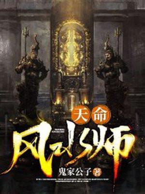 天命风水师杨天鸣