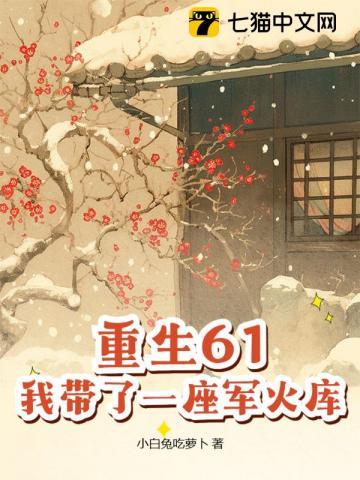 我带了一座军火库 第422章