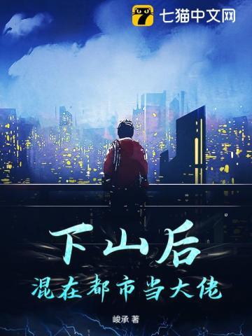 下山高手在都市 下山高手在都市
