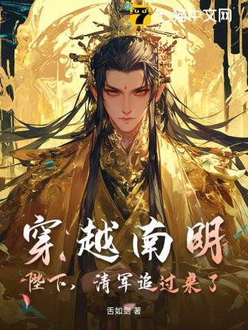 清军穿越南北朝 清军穿越南北朝