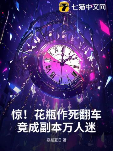 花瓶同人