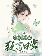 红楼荣国府丫鬟生存指南