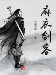 麻衣剑客续集 麻衣剑客续集