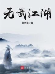 无武江湖全本txt精校徐秀军