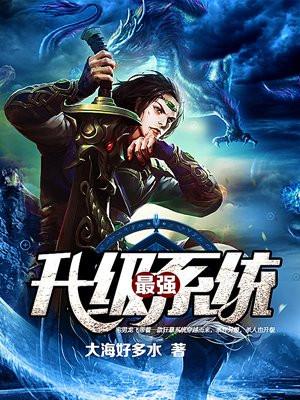 最强升级系统等级
