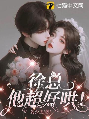 徐总y4