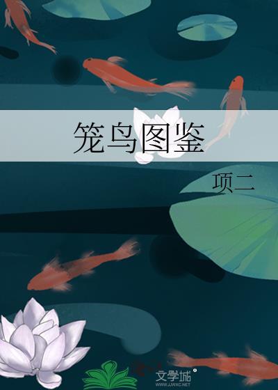 笼鸟图鉴项二 结局