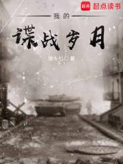 我的谍战岁月 百度