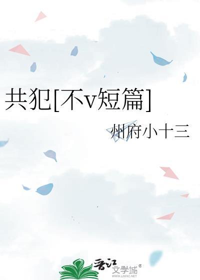 共犯关系全文免费阅读pop