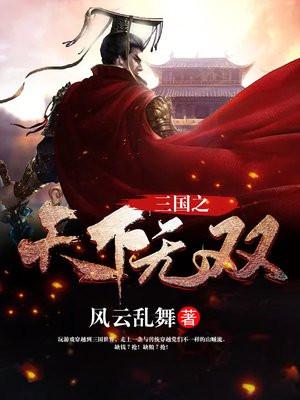 三国之天下无双TXT百度 三国之天下无双TXT百度