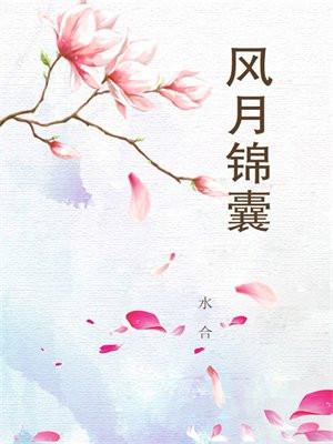 风月芳菲