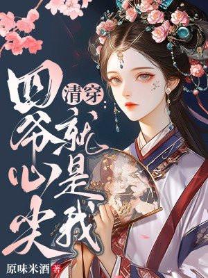 清穿四爷心头肉