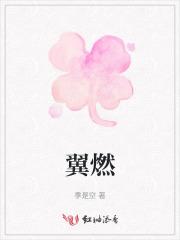 翼燃商贸