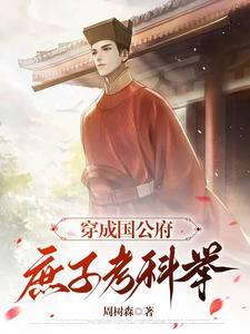 穿越国公府庶子的科举之路 穿越国公府庶子的科举之路