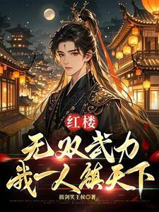 红楼无双武力我一人镇一国飞卢