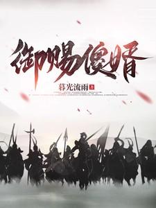 御赐傻婿TXT