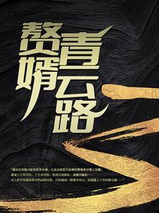 赘婿青云六州