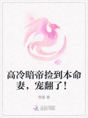 高冷暗帝捡到本命妻宠翻了