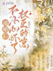 退婚后怀了反派元帅的崽