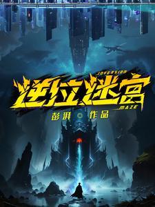 逆位迷宫TXT本地