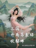 三国开局袁宁