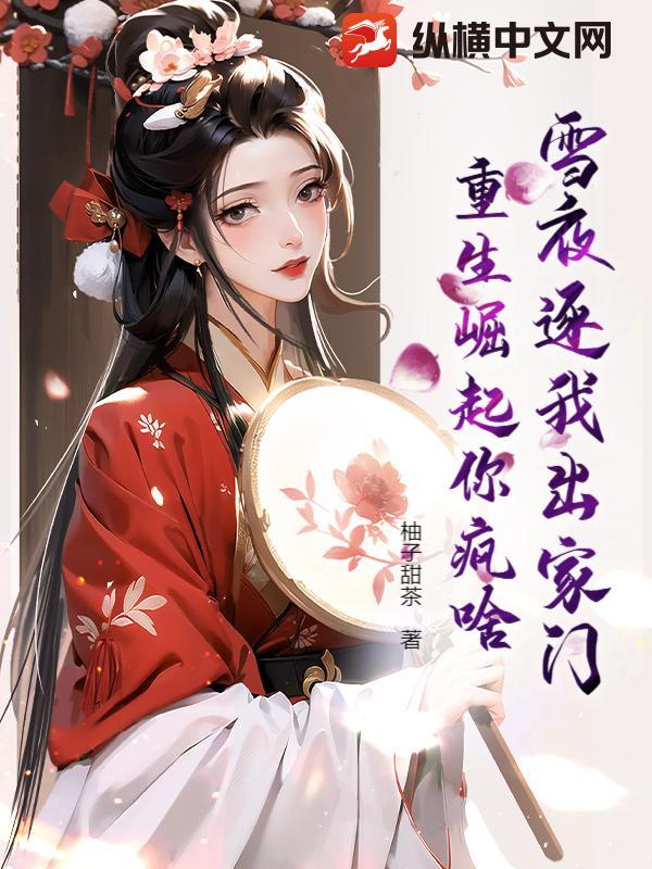 主角叫雪夜的