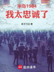 半岛讲的什么
