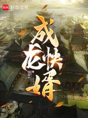乘龙快婿第一季粤语 乘龙快婿第一季粤语