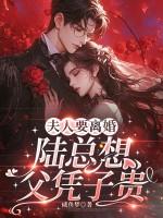 夫人要离婚陆总想父凭子贵