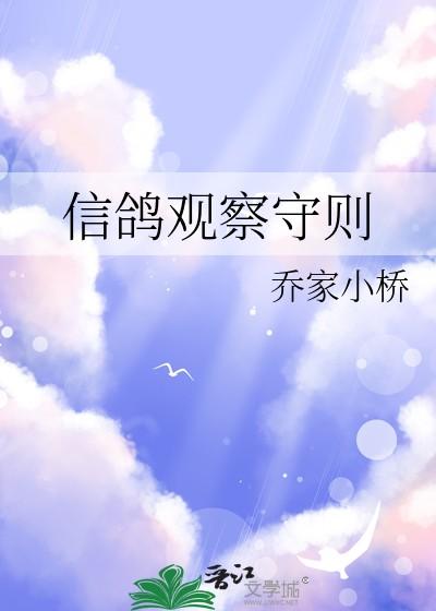 信鸽观察守则乔家小桥完结了吗
