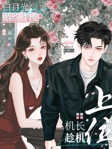 沈机长的白月光