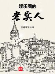 娱乐圈的老实人无错版