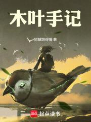 木叶手记笔趣阁无弹窗