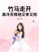 竹马vs天降 竹马vs天降