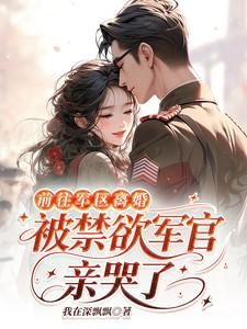 离异军官 离异军官