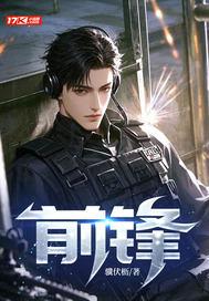 前锋燃气灶 前锋燃气灶