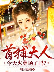 首辅大人今天火葬场了吗?免费阅读