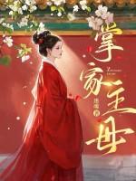 掌家全文免费阅读全文