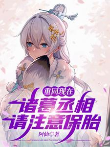 重生诸葛亮书童