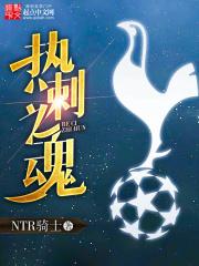 热刺之魂TXT免费阅读