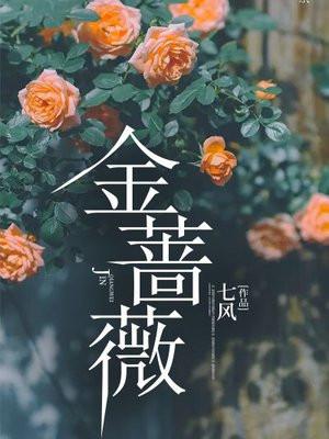 金蔷薇的作者是谁